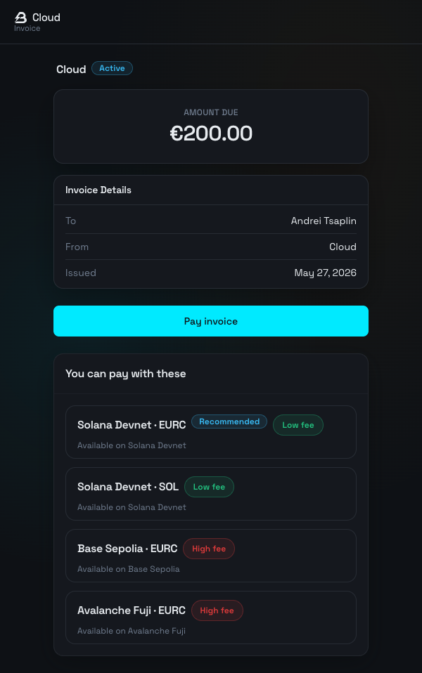 Bliz pay-link - invoice summary and a single confirm-to-pay step for the client